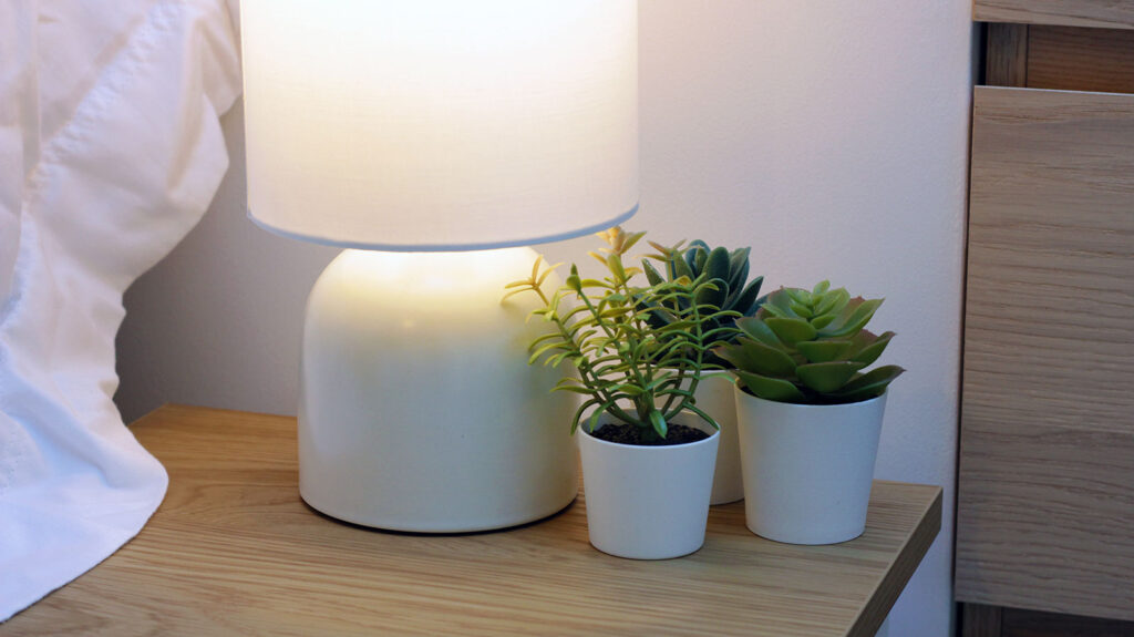 Professional photography services